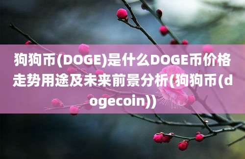 狗狗币(DOGE)是什么DOGE币价格走势用途及未来前景分析(狗狗币(dogecoin))