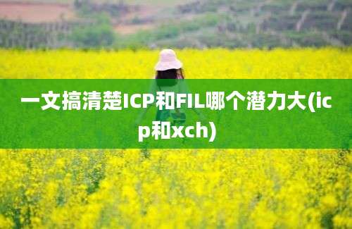 一文搞清楚ICP和FIL哪个潜力大(icp和xch)