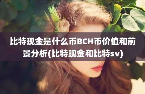 比特现金是什么币BCH币价值和前景分析(比特现金和比特sv)