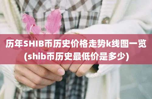 历年SHIB币历史价格走势k线图一览(shib币历史最低价是多少)