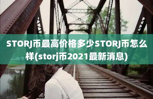 STORJ币最高价格多少STORJ币怎么样(storj币2021最新消息)