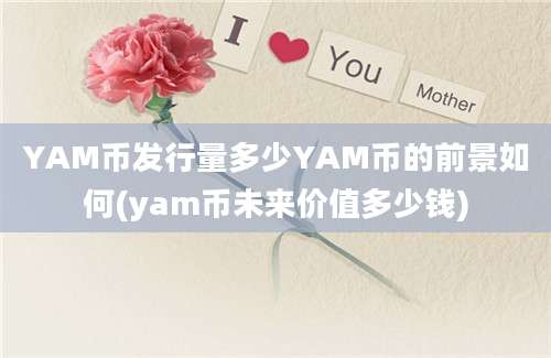 YAM币发行量多少YAM币的前景如何(yam币未来价值多少钱)