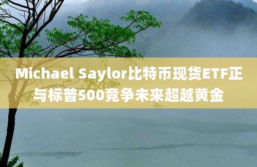 Michael Saylor比特币现货ETF正与标普500竞争未来超越黄金