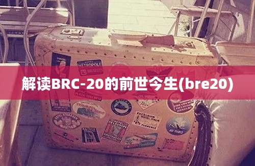 解读BRC-20的前世今生(bre20)