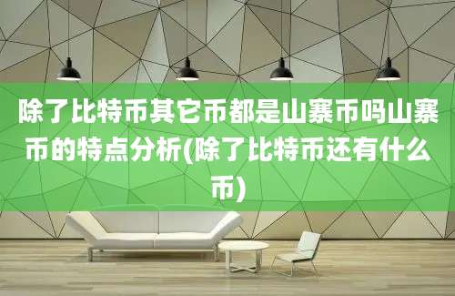 除了比特币其它币都是山寨币吗山寨币的特点分析(除了比特币还有什么币)