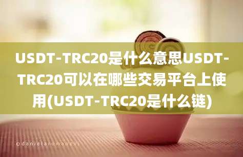 USDT-TRC20是什么意思USDT-TRC20可以在哪些交易平台上使用(USDT-TRC20是什么链)