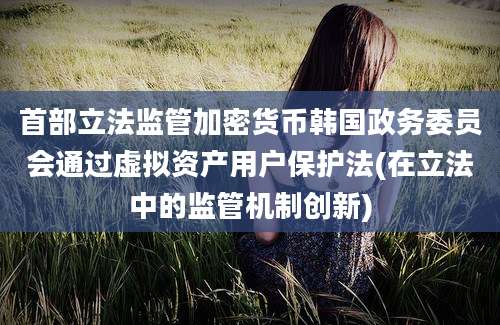 首部立法监管加密货币韩国政务委员会通过虚拟资产用户保护法(在立法中的监管机制创新)