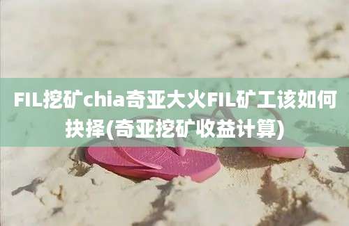 FIL挖矿chia奇亚大火FIL矿工该如何抉择(奇亚挖矿收益计算)