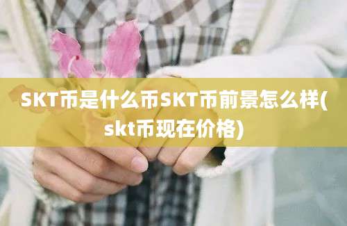 SKT币是什么币SKT币前景怎么样(skt币现在价格)