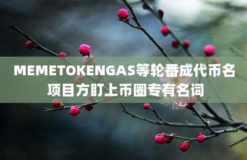 MEMETOKENGAS等轮番成代币名 项目方盯上币圈专有名词