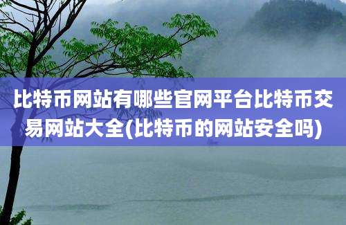 比特币网站有哪些官网平台比特币交易网站大全(比特币的网站安全吗)