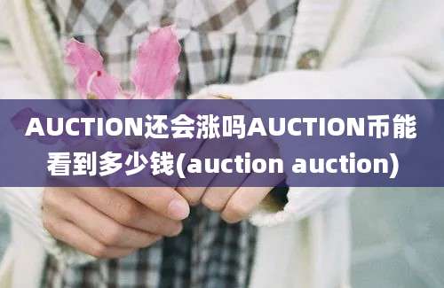 AUCTION还会涨吗AUCTION币能看到多少钱(auction auction)