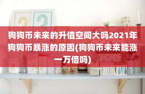 狗狗币未来的升值空间大吗2021年狗狗币暴涨的原因(狗狗币未来能涨一万倍吗)