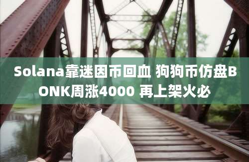 Solana靠迷因币回血 狗狗币仿盘BONK周涨4000 再上架火必