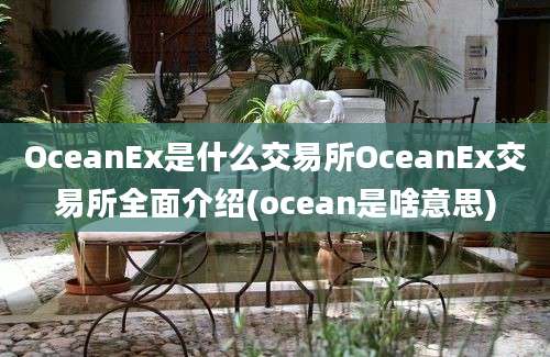 OceanEx是什么交易所OceanEx交易所全面介绍(ocean是啥意思)