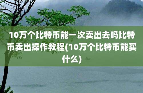 10万个比特币能一次卖出去吗比特币卖出操作教程(10万个比特币能买什么)