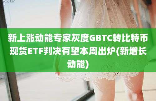 新上涨动能专家灰度GBTC转比特币现货ETF判决有望本周出炉(新增长动能)