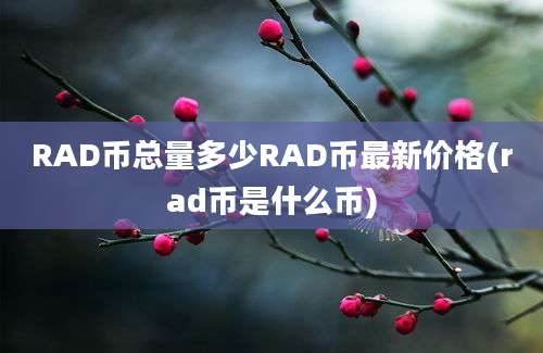 RAD币总量多少RAD币最新价格(rad币是什么币)