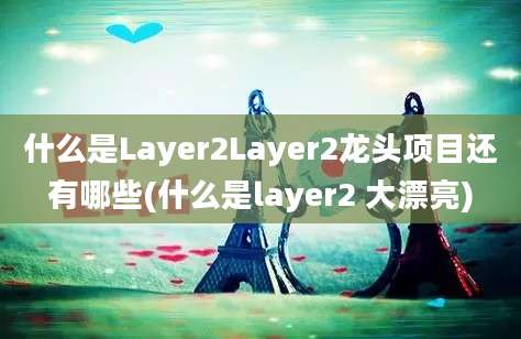 什么是Layer2Layer2龙头项目还有哪些(什么是layer2 大漂亮)