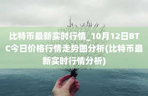 比特币最新实时行情_10月12日BTC今日价格行情走势图分析(比特币最新实时行情分析)