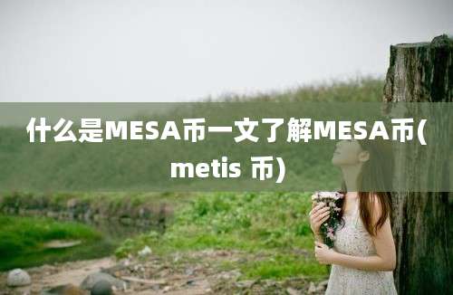 什么是MESA币一文了解MESA币(metis 币)