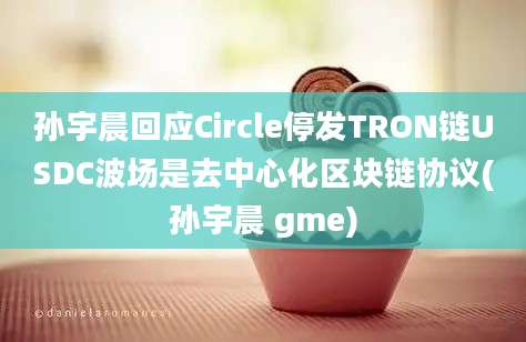 孙宇晨回应Circle停发TRON链USDC波场是去中心化区块链协议(孙宇晨 gme)