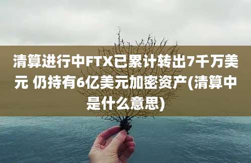 清算进行中FTX已累计转出7千万美元 仍持有6亿美元加密资产(清算中是什么意思)