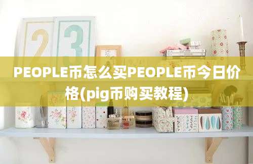 PEOPLE币怎么买PEOPLE币今日价格(pig币购买教程)