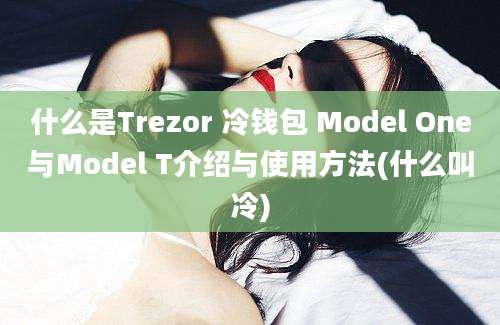 什么是Trezor 冷钱包 Model One与Model T介绍与使用方法(什么叫冷)