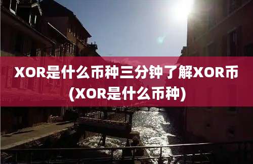 XOR是什么币种三分钟了解XOR币(XOR是什么币种)