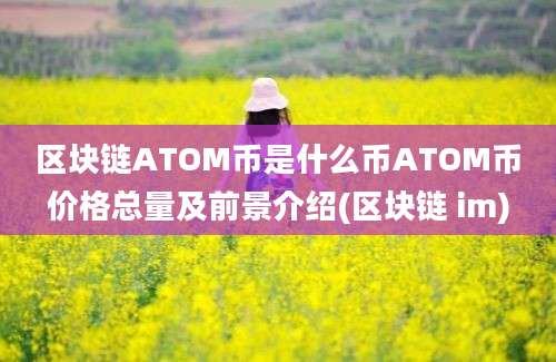 区块链ATOM币是什么币ATOM币价格总量及前景介绍(区块链 im)