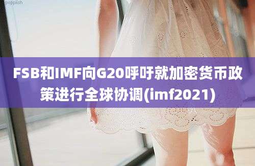 FSB和IMF向G20呼吁就加密货币政策进行全球协调(imf2021)