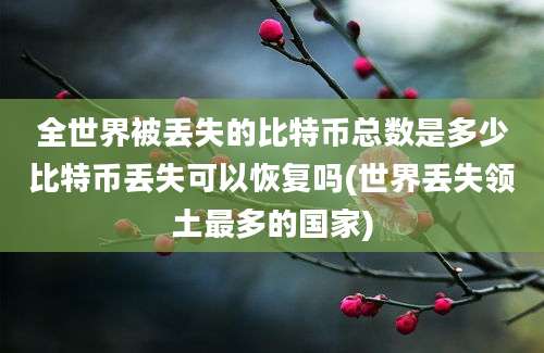 全世界被丢失的比特币总数是多少比特币丢失可以恢复吗(世界丢失领土最多的国家)