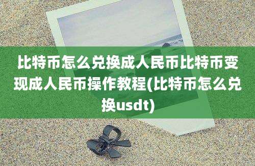 比特币怎么兑换成人民币比特币变现成人民币操作教程(比特币怎么兑换usdt)