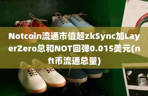 Notcoin流通市值超zkSync加LayerZero总和NOT回弹0.015美元(nft币流通总量)