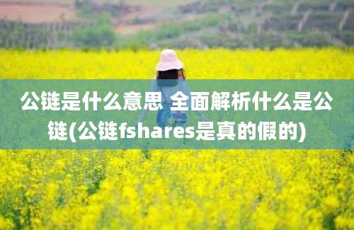 公链是什么意思 全面解析什么是公链(公链fshares是真的假的)