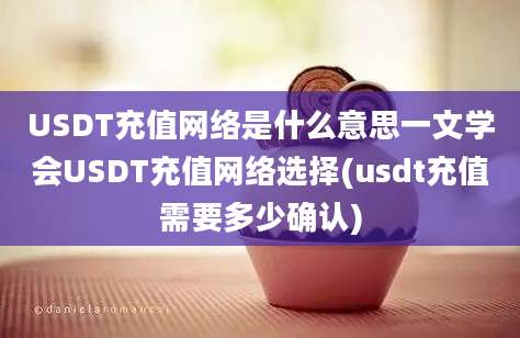 USDT充值网络是什么意思一文学会USDT充值网络选择(usdt充值需要多少确认)