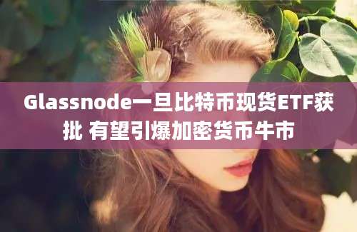 Glassnode一旦比特币现货ETF获批 有望引爆加密货币牛市