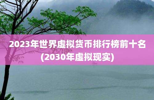 2023年世界虚拟货币排行榜前十名(2030年虚拟现实)