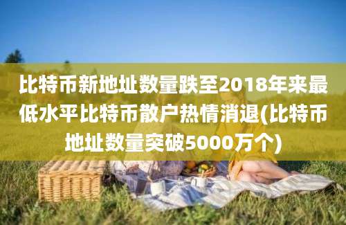 比特币新地址数量跌至2018年来最低水平比特币散户热情消退(比特币地址数量突破5000万个)