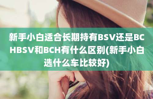 新手小白适合长期持有BSV还是BCHBSV和BCH有什么区别(新手小白选什么车比较好)