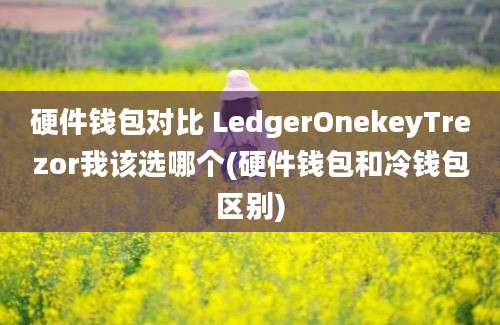 硬件钱包对比 LedgerOnekeyTrezor我该选哪个(硬件钱包和冷钱包区别)