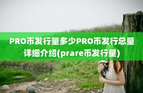 PRO币发行量多少PRO币发行总量详细介绍(prare币发行量)