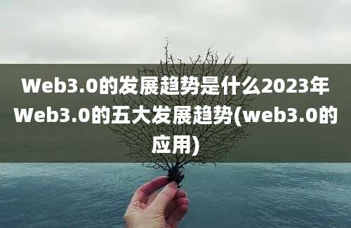 Web3.0的发展趋势是什么2023年Web3.0的五大发展趋势(web3.0的应用)