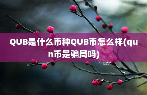 QUB是什么币种QUB币怎么样(qun币是骗局吗)