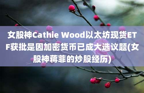 女股神Cathie Wood以太坊现货ETF获批是因加密货币已成大选议题(女股神蒋菲的炒股经历)