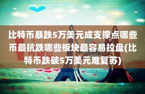 比特币暴跌5万美元成支撑点哪些币最抗跌哪些板块最容易拉盘(比特币跌破5万美元难复苏)