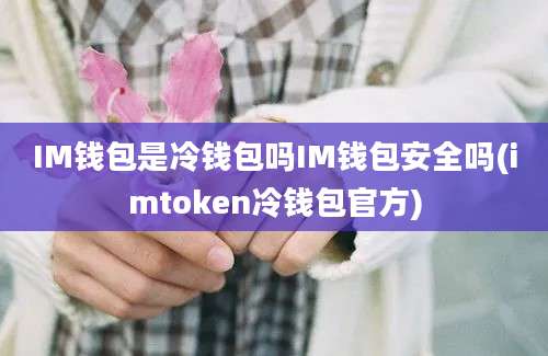 IM钱包是冷钱包吗IM钱包安全吗(imtoken冷钱包官方)