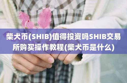 柴犬币(SHIB)值得投资吗SHIB交易所购买操作教程(柴犬币是什么)