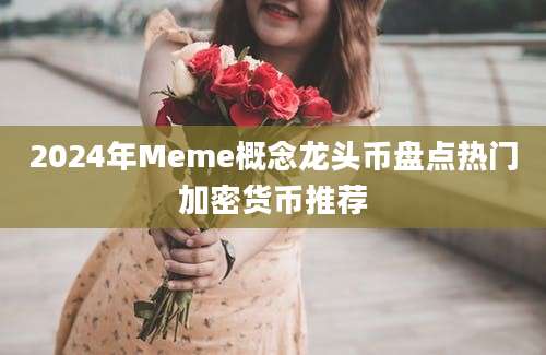 2024年Meme概念龙头币盘点热门加密货币推荐